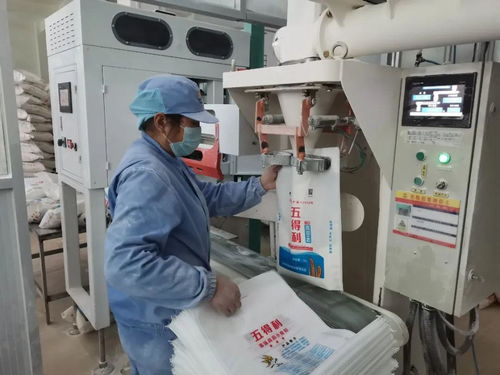 糧倉滿滿的 這圖看著心里真踏實(shí)